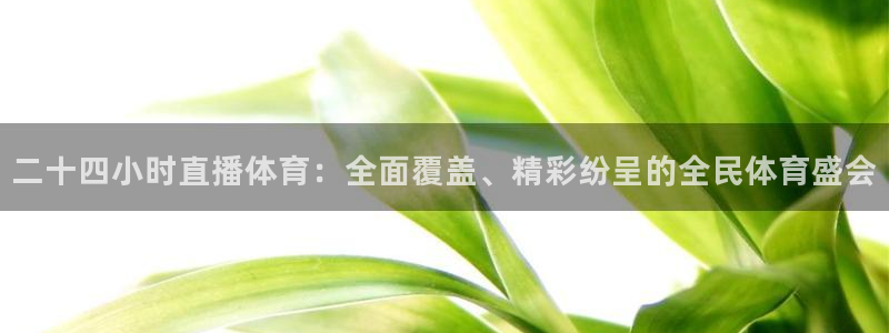 二十四小时直播体育：全面覆盖、精彩纷呈的全民体育盛会