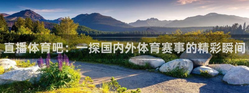 直播体育吧：一探国内外体育赛事的精彩瞬间