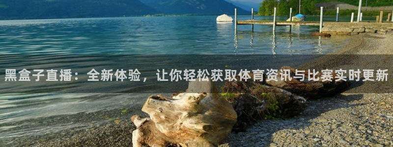 黑盒子直播：全新体验，让你轻松获取体育资讯与比赛实时更新