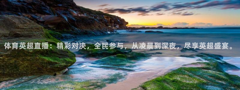 体育英超直播：精彩对决，全民参与，从凌晨到深夜，尽享英超盛宴。