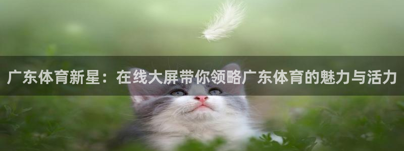 广东体育新星：在线大屏带你领略广东体育的魅力与活力