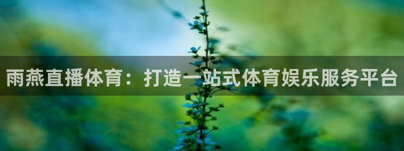 雨燕直播体育：打造一站式体育娱乐服务平台
