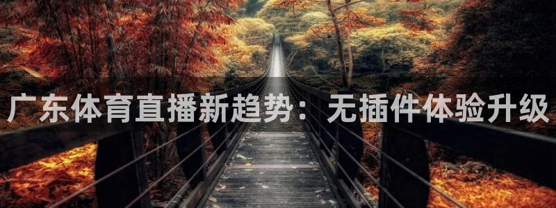 广东体育直播新趋势：无插件体验升级