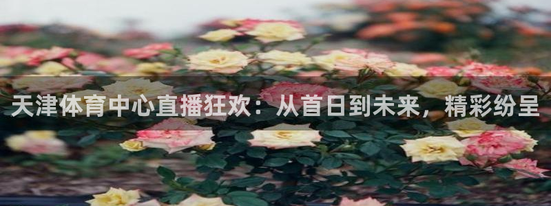 天津体育中心直播狂欢：从首日到未来，精彩纷呈