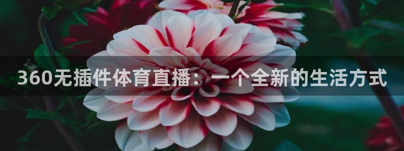 360无插件体育直播：一个全新的生活方式