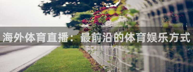 海外体育直播：最前沿的体育娱乐方式